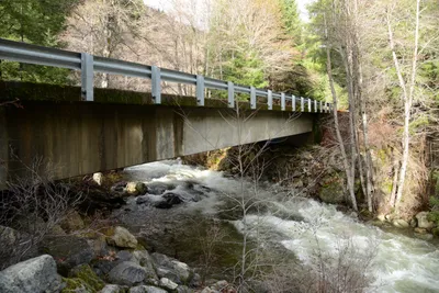 DSC_0887 (Large).JPG